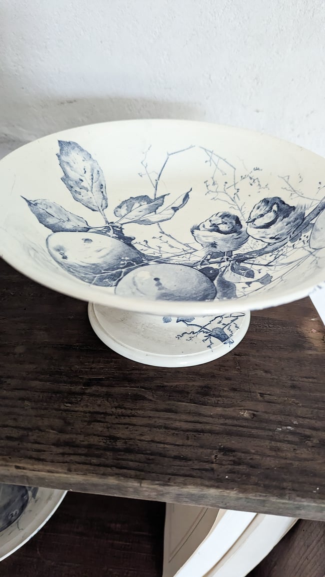 Service Oiseaux Creil et Montereau 