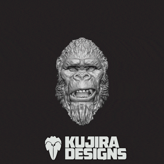Ape King 2024 (Wave 2)