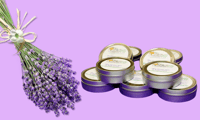Shea Dream Hair & Body Cream