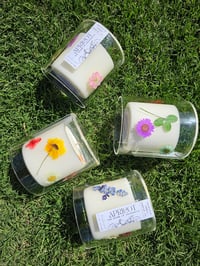 Image 1 of Apricot| The Aroma of Prosperity Candle