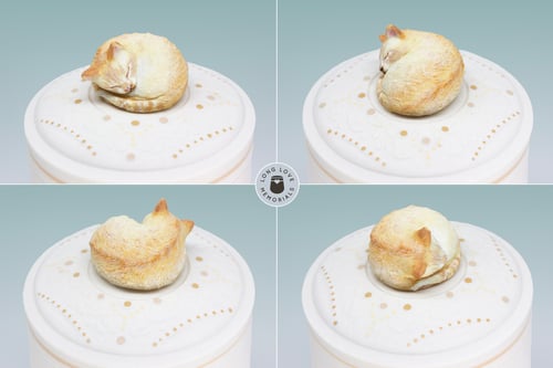 Image of Corish Rex Cat Custom Pet Urn, Personalized Cat Urn for Ashes