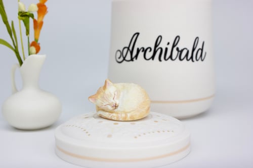 Image of Corish Rex Cat Custom Pet Urn, Personalized Cat Urn for Ashes