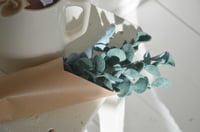 Image 4 of Branche d'eucalyptus en laine mérinos à l'unité