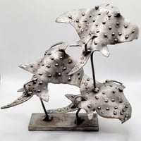 Image 1 of Banc de Raies, 2024