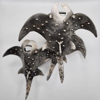 Image 2 of Banc de Raies, 2024