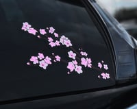 Image 3 of  桜  SAKURA BLOSSOMS 