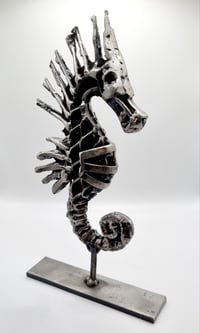 Image 1 of Hippocampe N2, 2023