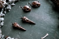 Image 2 of Copper Raven Skull or Copper Cat skull earrings