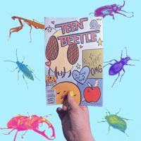 Image 1 of Teen Beetle 