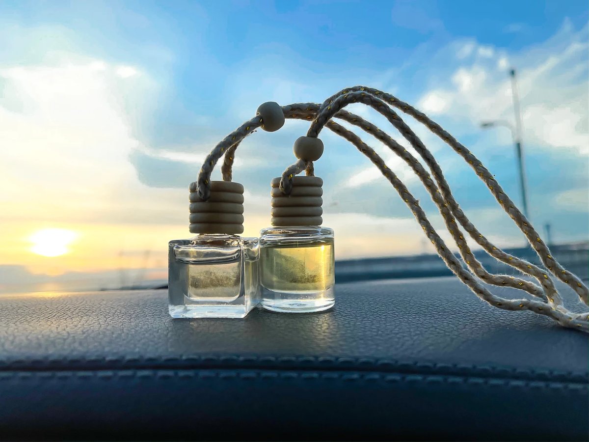 Hanging Car Diffuser | Cynts & Mo