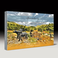 History of the Saints  ~  Remembering the Children of the Pioneer Trail