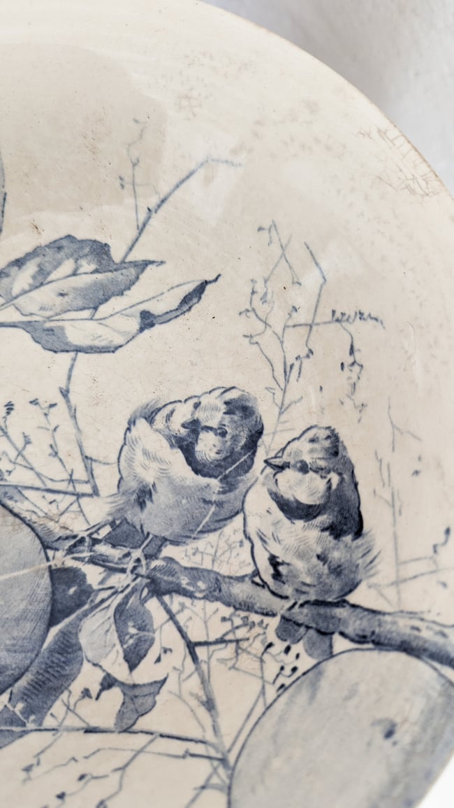 Service Oiseaux Creil et Montereau 