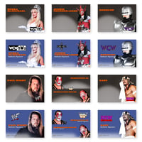 2024 Wrestling Authentic Signature Cards