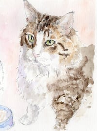 Image 1 of Custom Pet Watercolor Portrait - A5, A4, A3 Sizes - Personalized Pet Art - Free Shipping