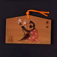 EMA SARU