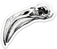 Image 1 of Flamingo Skull Sticker