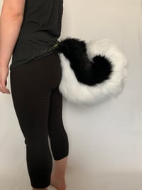 Image 4 of Custom Curled Husky Tail
