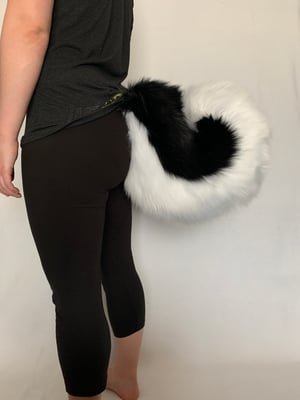 Image of Custom Curled Husky Tail