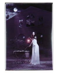 Image 1 of Into the Moonlight Photography Wall Art