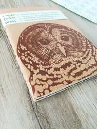 Image 3 of Barred Owl Birds of Prey Notebook Set