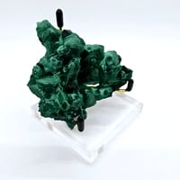 Image 6 of Velvet Malachite w/stand