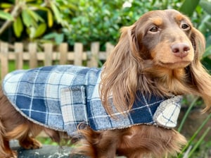 Image of Blue Grey Flannel Check Coat