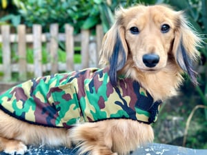 Image of Camouflage Raincoat