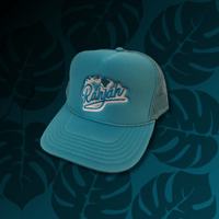 Image 3 of TEAL TRUCKER