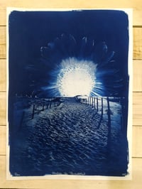 Image 1 of Cyanotype "Coucher de Tournesoleil"