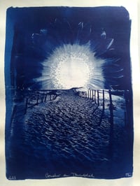 Image 2 of Cyanotype "Coucher de Tournesoleil"