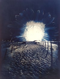 Image 4 of Cyanotype "Coucher de Tournesoleil"