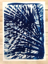 Image 1 of Cyanotype de "Sous les palmiers"