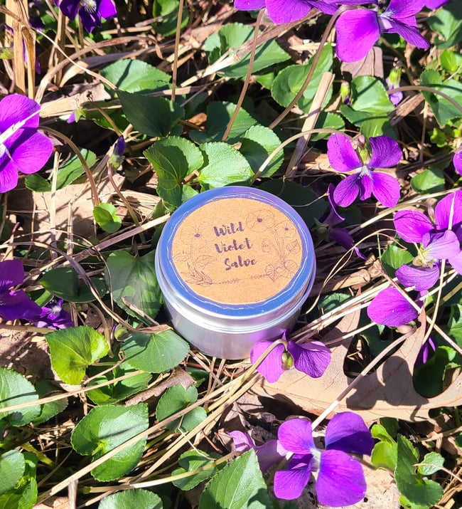 Wild Violet Salve for Dry Hands & Skin