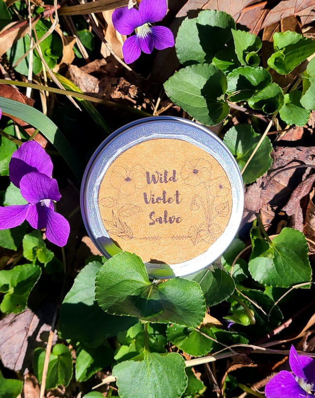 Wild Violet Salve for Dry Hands & Skin