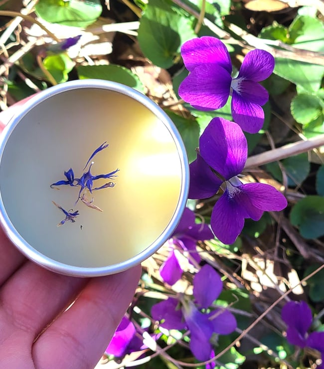 Wild Violet Salve for Dry Hands & Skin