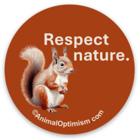 Squirrel: Respect nature.