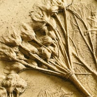 Image 9 of Botanical Plaster Casting Workshop