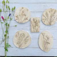 Image 10 of Botanical Plaster Casting Workshop