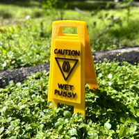 Image 2 of CAUTION WET P**** SIGN