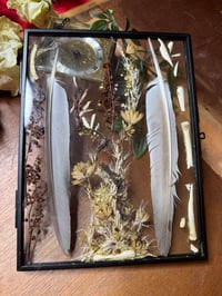 Image 3 of Preservation