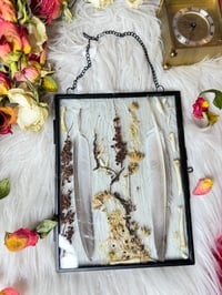 Image 1 of Preservation