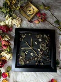 Image 2 of Bone lit sky