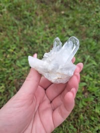 Image 1 of Clear Quartz Cluster D