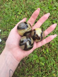 Image 3 of Septarian Spheres 