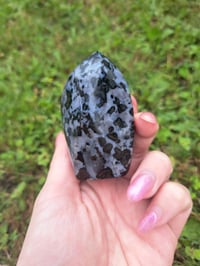 Image 5 of Gabbro Flames