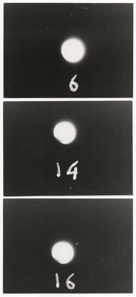 Image of Anonymous: eclipse nr. 6, 14 and 16, ca. 1970s