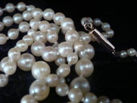 Image 2 of EDWARDIAN ANTIQUE 9CT 2 - 6MM GRADUATED CULTURED PEARL NECKLACE 19 INCHES