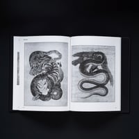 Image 2 of BEAUTY AND VIOLENCE HORICHIYO