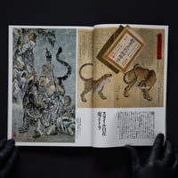 Image 5 of KAWANABE´S KYOSAI COUNTER ATTACK