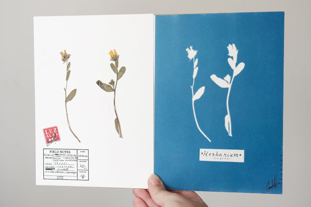 Image of Cyanotype | originals